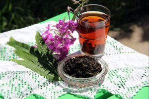 Иван-чай - польза и вред напитка для здоровья женщин и мужчин