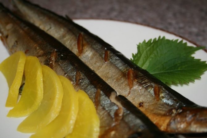 Консервированная сайра: польза и вред известного морепродукта