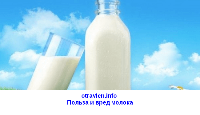 польза и вред молока