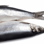 Передозировки рыбьим жиром (Омега 3) - симптомы у детей и взрослых