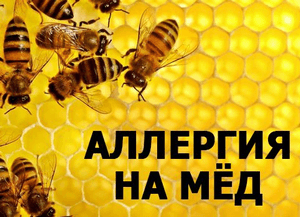 Аллергическая реакция на мед