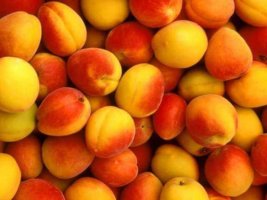 Косточки абрикоса: польза и вред