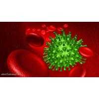 Что такое норовирус?