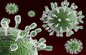 Что такое норовирус?