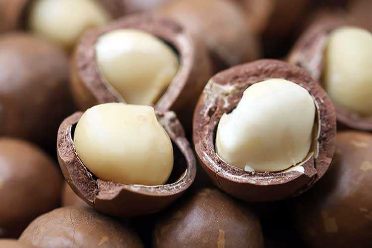 Влияние орехов Макадамия на здоровье