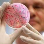 Микробиота после антибиотиков: как восстановить здоровье кишечника