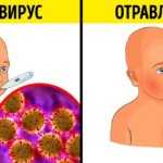 Как отличить ротавирус от отравления у взрослых и детей - симптомы
