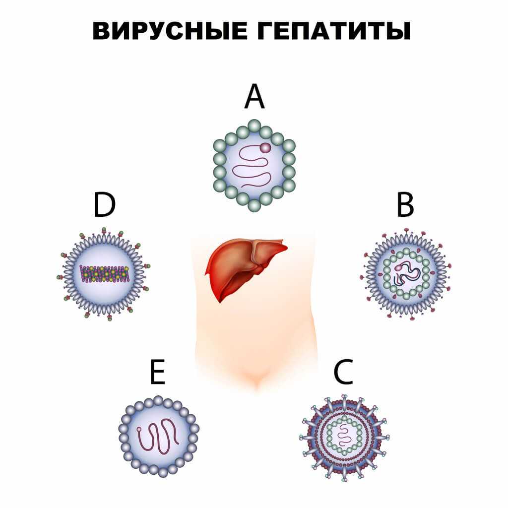 Чем отличается острый гепатит С от хронического