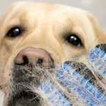 Аллергию на серебро вызывает не серебро