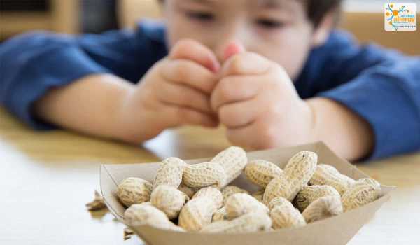 Аллергия на сладкое: каких продуктов лучше избегать
