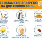 Аллергия на пыль: забудьте о коврах