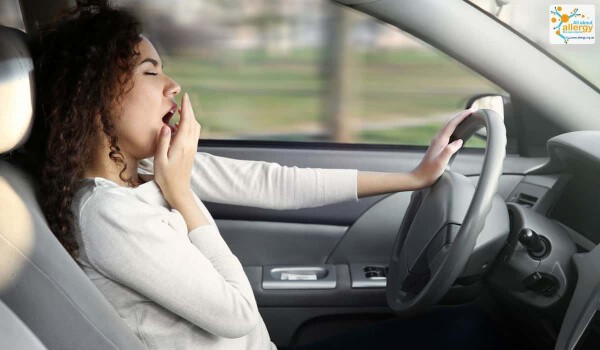 Водитель с аллергическим ринитом — основной фактор ДТП