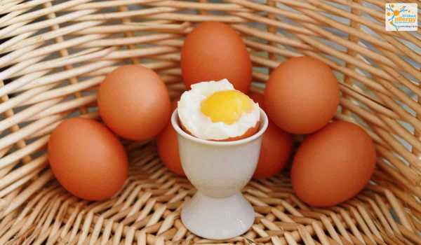 Аллергия на сладкое: каких продуктов лучше избегать
