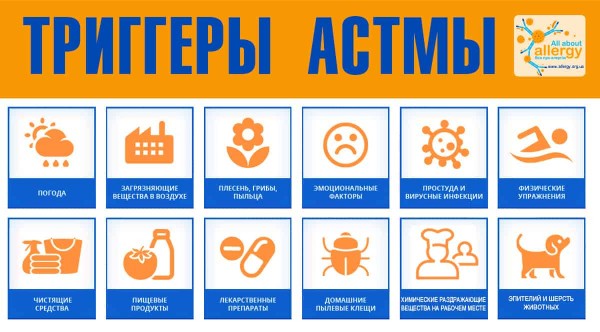 Все, что вы хотели знать об астме: типы, причины, симптомы, контроль