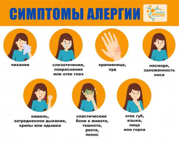 Аллергические симптомы инфографика