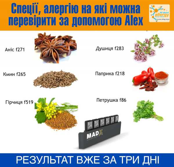 Аллергия на специи может быть фатальной, или В чем виновата горчица