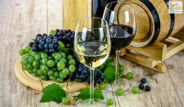 Аллергия на виноград и с чем ее едят