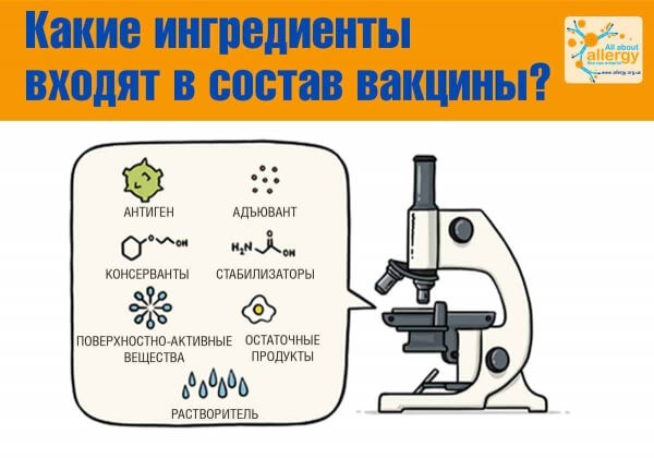 Вакцина от коронавируса: из чего состоит