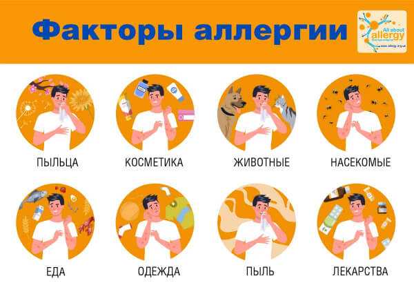 Симптомы аллергии: какими бывают и как их распознать