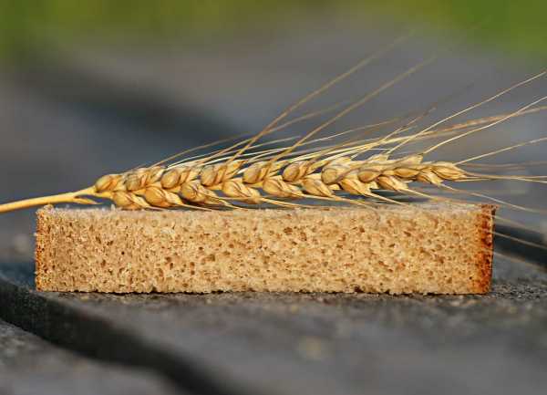 bread
