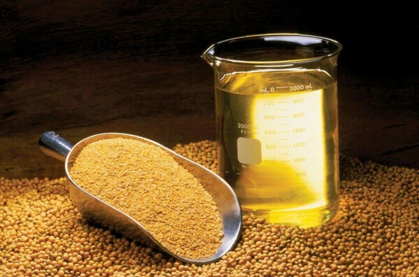 lecithin