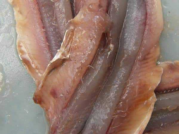 Рыба остается аллергенной даже после приготовления
